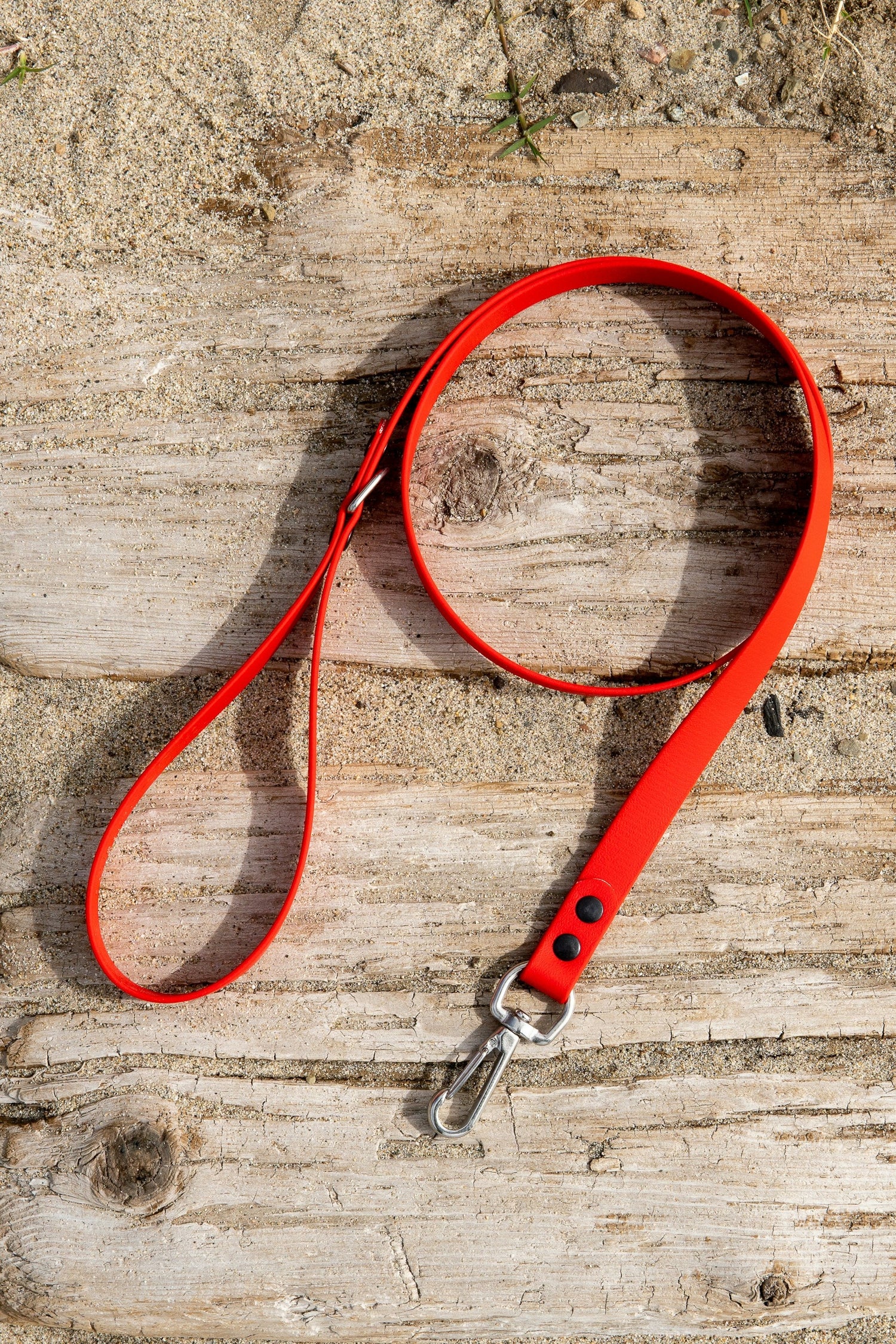 Collars, Leashes & Harnesses