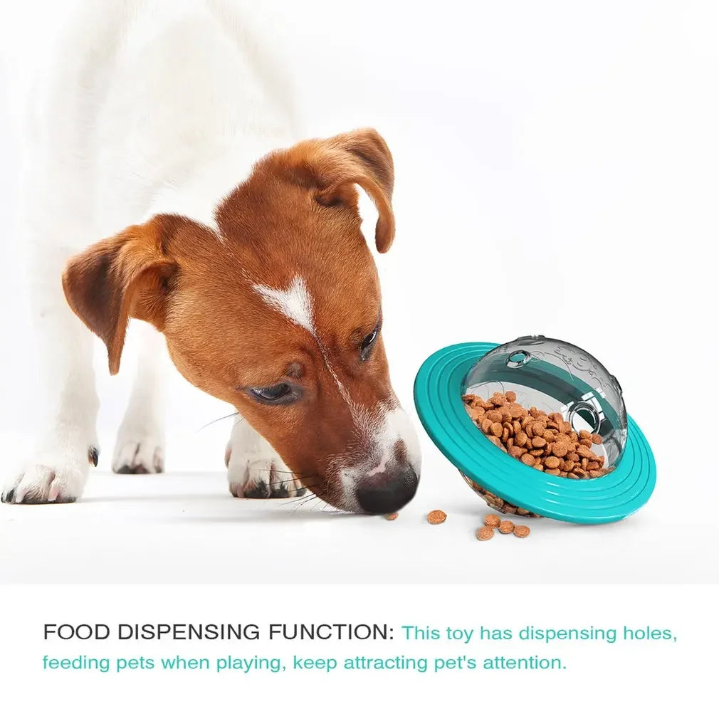 Hign-concerned Flying Saucer Dog Toy Puzzle Discs Pro