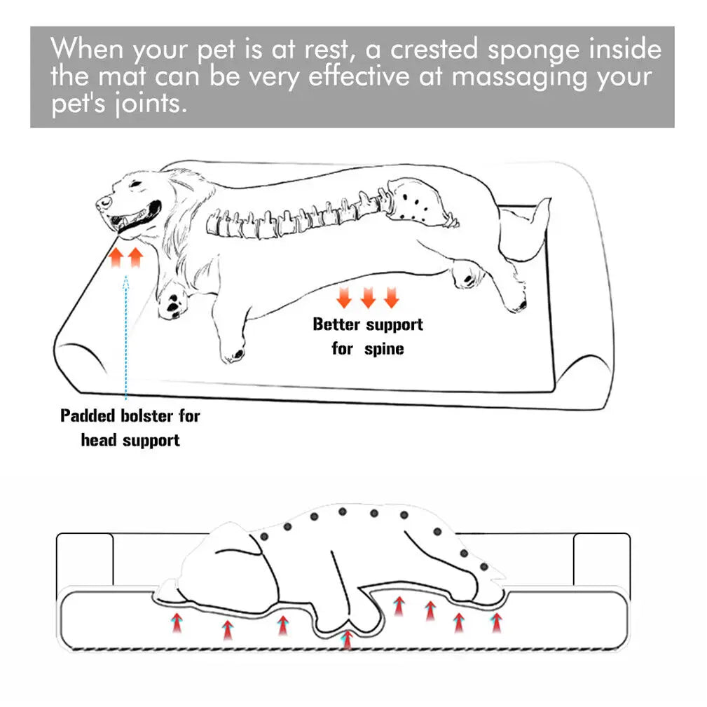 Bingopaw Orthopedic Dog Bed With Removable Washable Cover