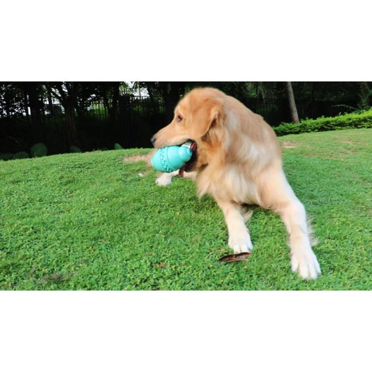 Hignconcerned Dog Bottle Shape Chew Toy For Chewers