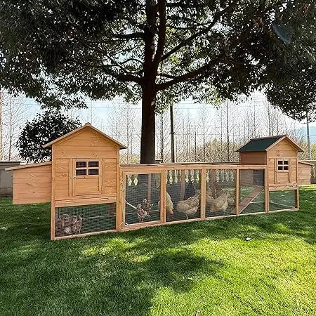 Hign Concerned Outdoor Chicken Coop For 4 8 Chickens Ramp