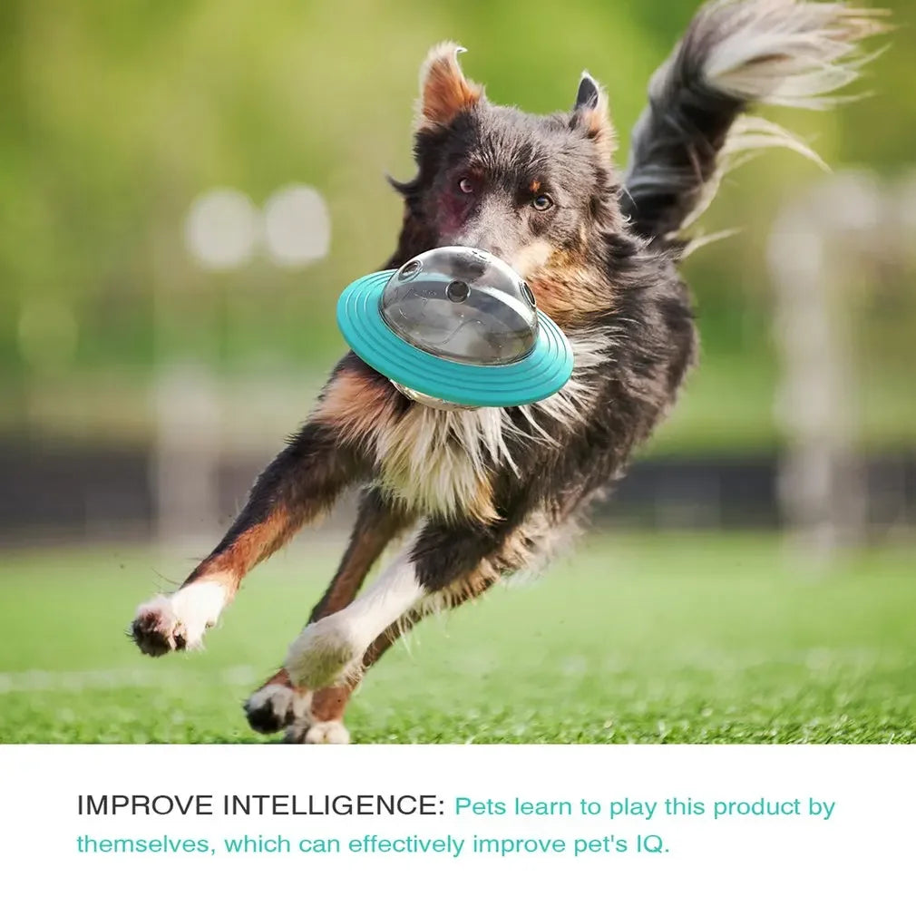 Hign-concerned Flying Saucer Dog Toy Puzzle Discs Pro