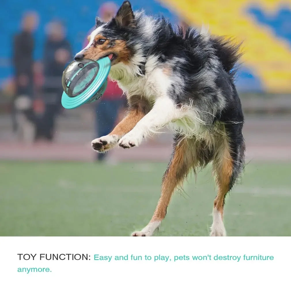 Hign-concerned Flying Saucer Dog Toy Puzzle Discs Pro