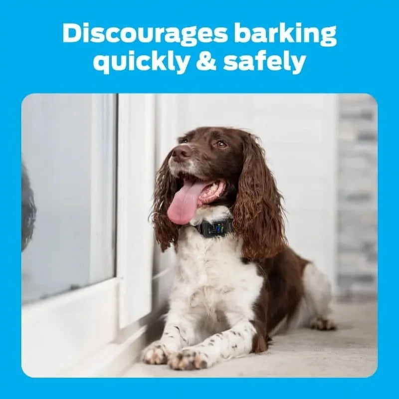 Hign-concerned Premier Pet Bark Collar With Digital Display