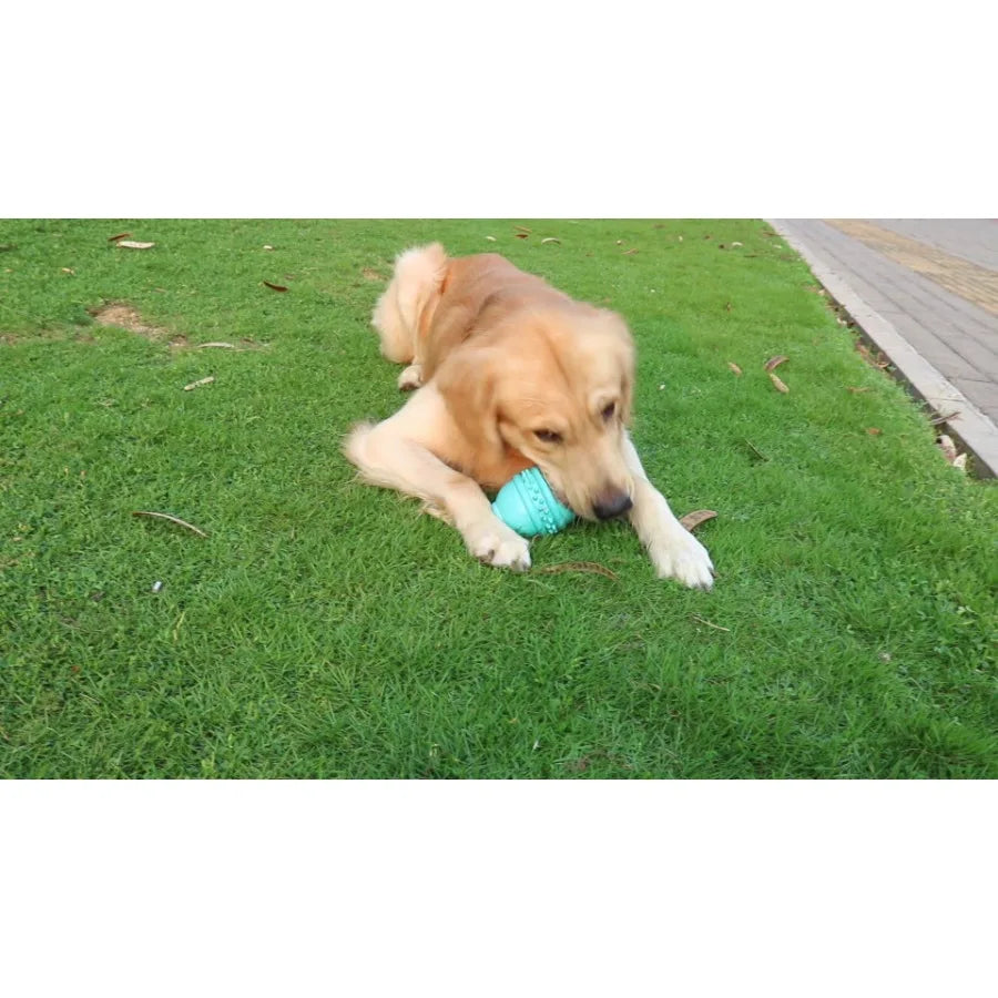 Hignconcerned Dog Bottle Shape Chew Toy For Chewers