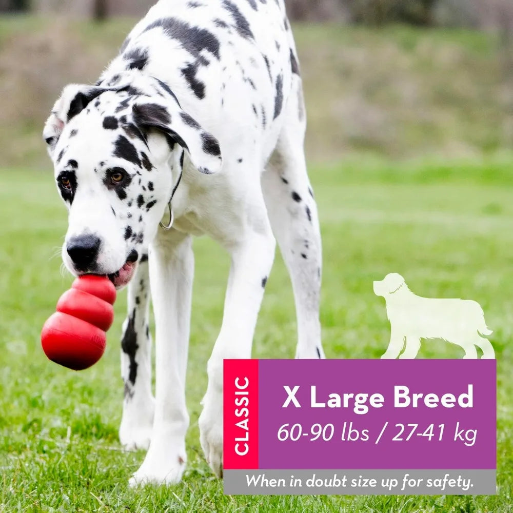 KONG Classic Toy and Enhanced Ziggies Treats Combo Pack