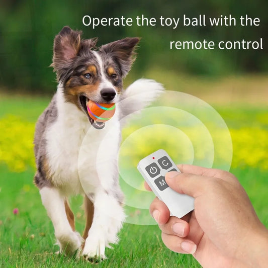 Hign-concerned Chemical Dog Chew Toy Ball USB LED Light