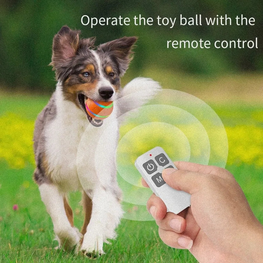 Hign-concerned Chemical Dog Chew Toy Ball USB LED Light