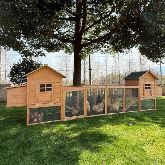 Hign Concerned Outdoor Chicken Coop For 4 8 Chickens Ramp