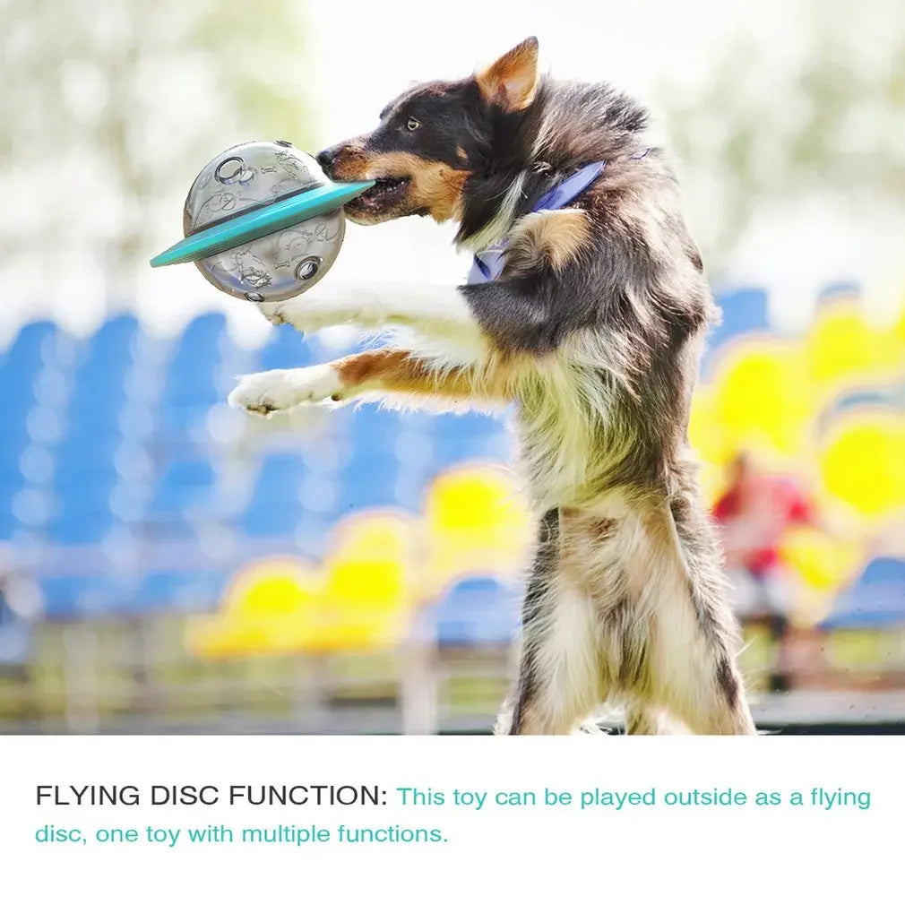 Hign-concerned Flying Saucer Dog Toy Puzzle Discs Pro