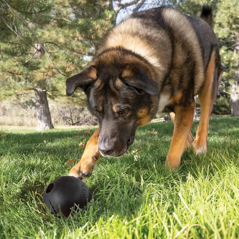 KONG Extreme Ball 2 Pack Durable Rubber Toy For Chewers