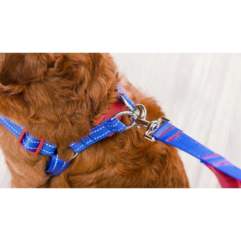 DUTRIEUX Adjustable Dog Harness Breathable Mesh Step In