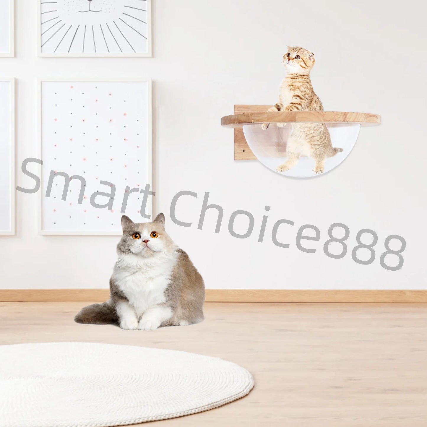 Sichuan Space Capsule Style Transparent Cover Cat Bed