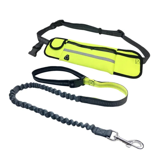 Guangdong Hands Free Dog Leash With Zipper Pouch Reflective