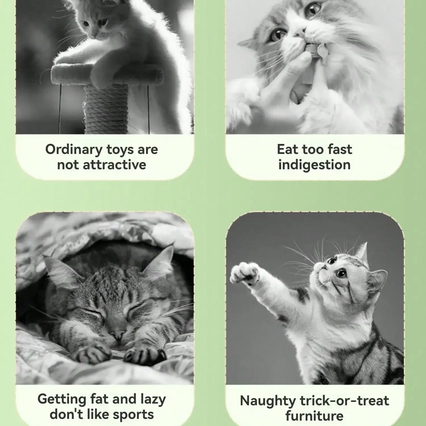 Guangdong Planet Digging Dispenser Cat Toy 360 Rotating