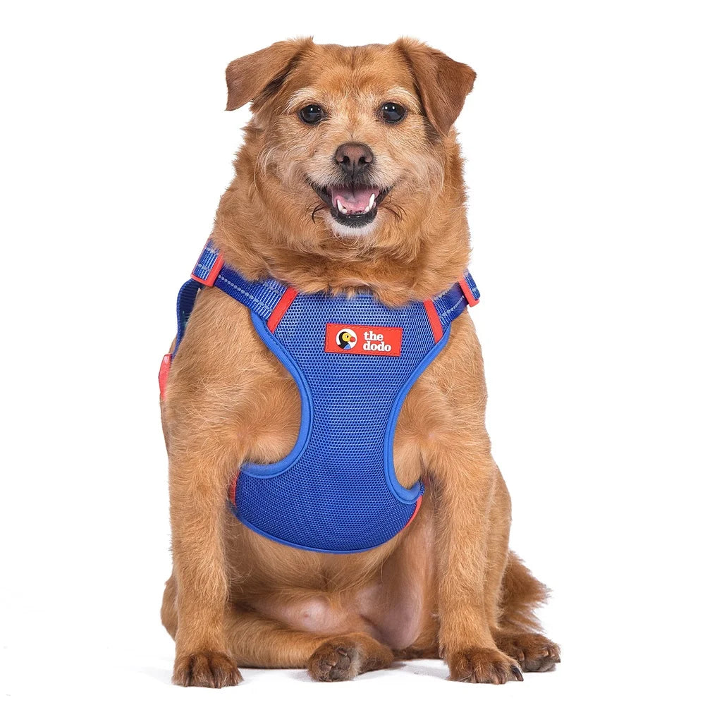 DUTRIEUX Adjustable Dog Harness Breathable Mesh Step In