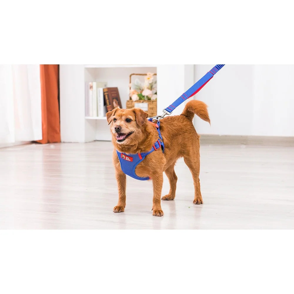 DUTRIEUX Adjustable Dog Harness Breathable Mesh Step In