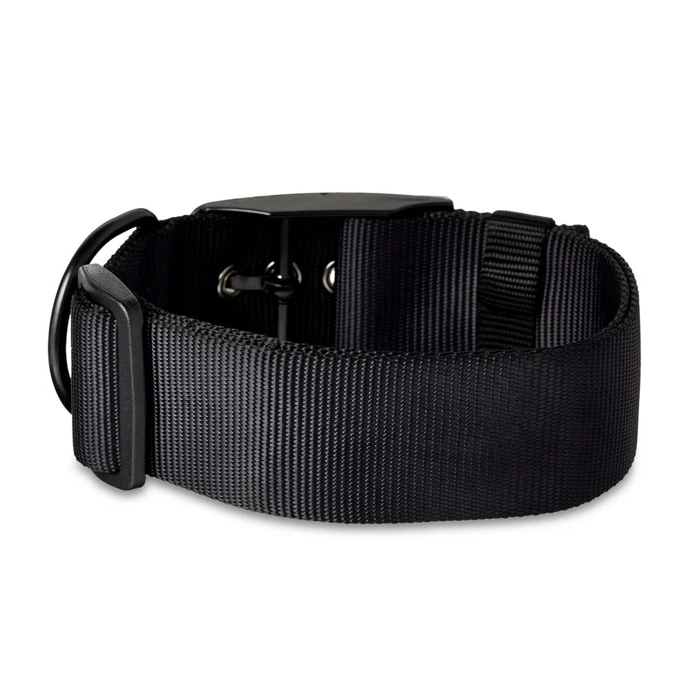 XMSJ Adjustable Polyester Dog Collar Two Pack With D Ring
