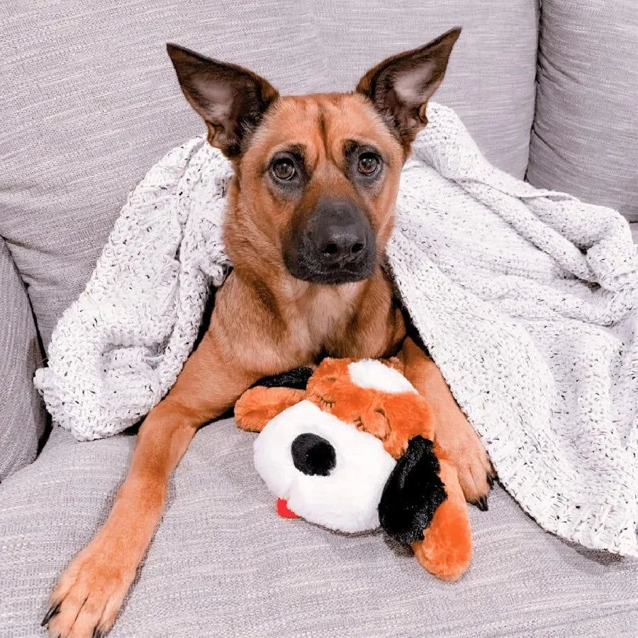 SmartPetLove Snuggle Puppy Heartbeat Toy For Anxiety Relief