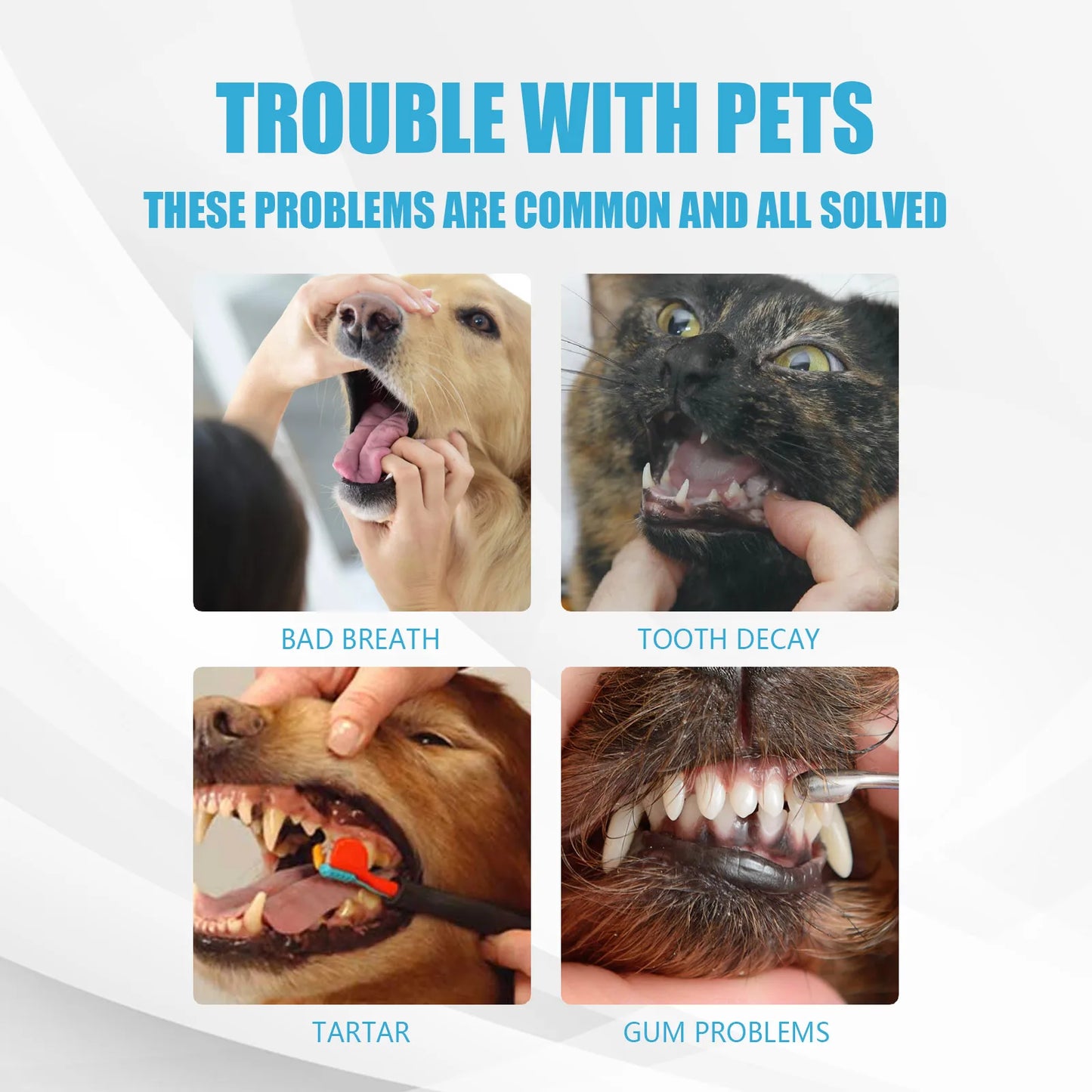 Hign-concerned Toothpaste for Dogs and Cats Fresh Breath