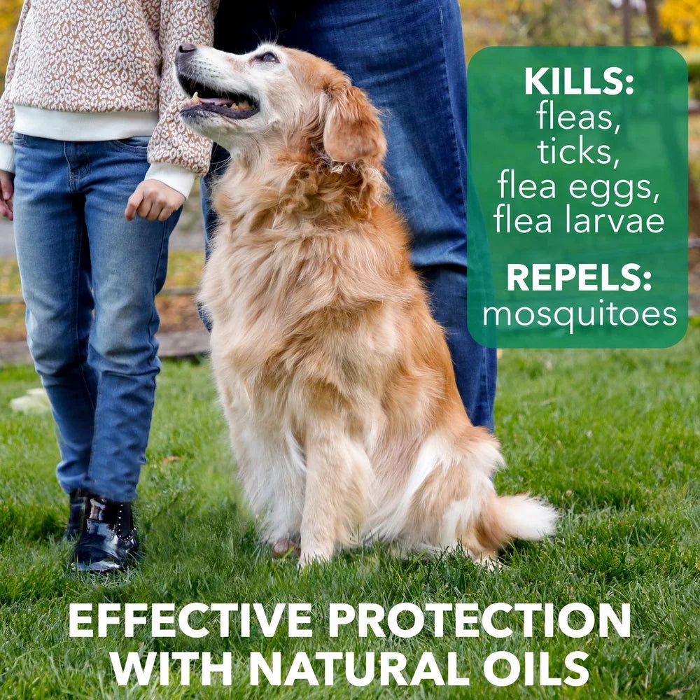 XMSJ Flea And Tick Dog Shampoo With Plant Extracts