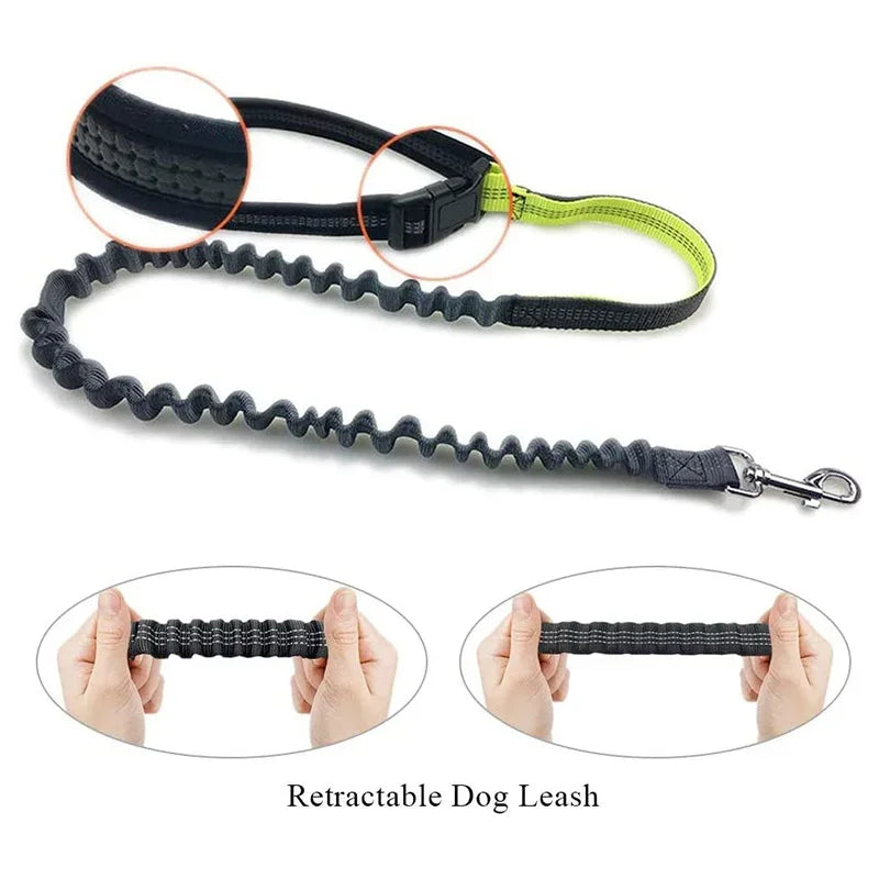 Guangdong Hands Free Dog Leash With Zipper Pouch Reflective