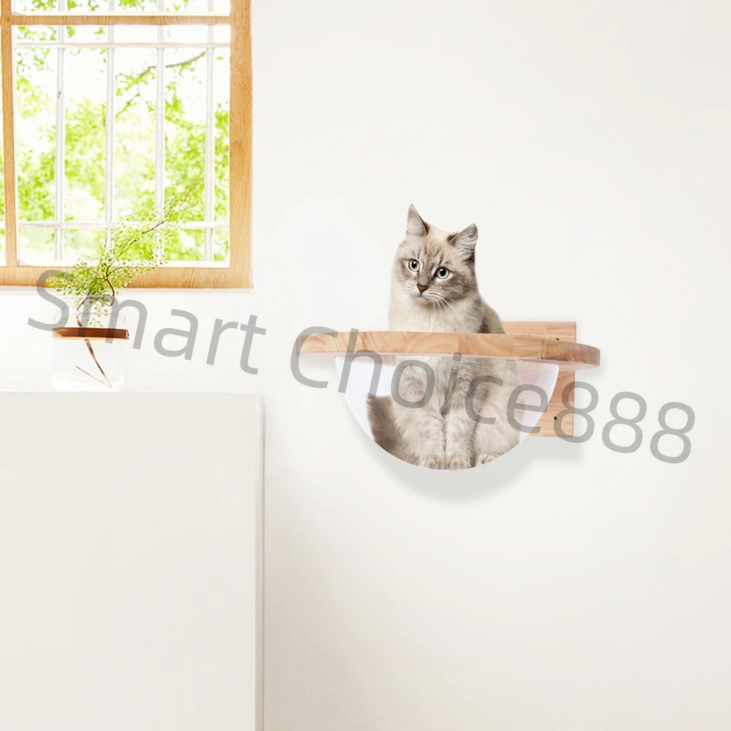 Sichuan Space Capsule Style Transparent Cover Cat Bed