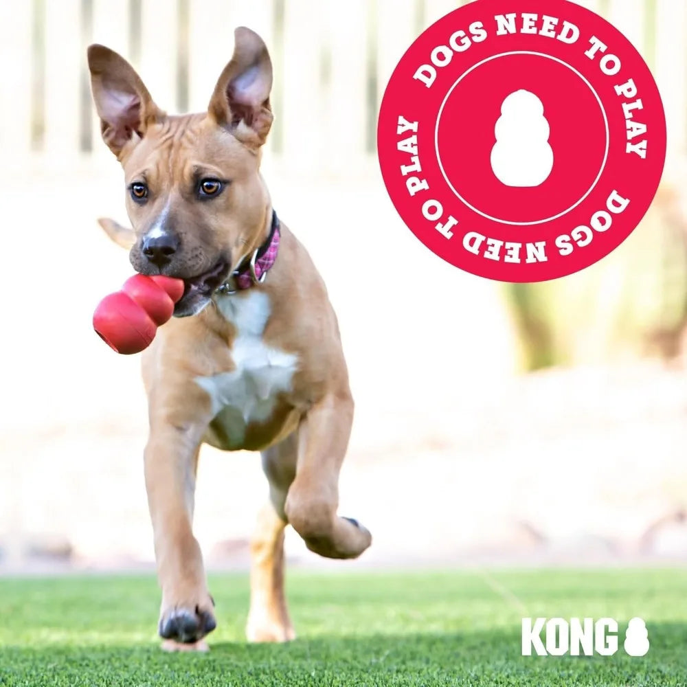 KONG Classic Toy and Enhanced Ziggies Treats Combo Pack