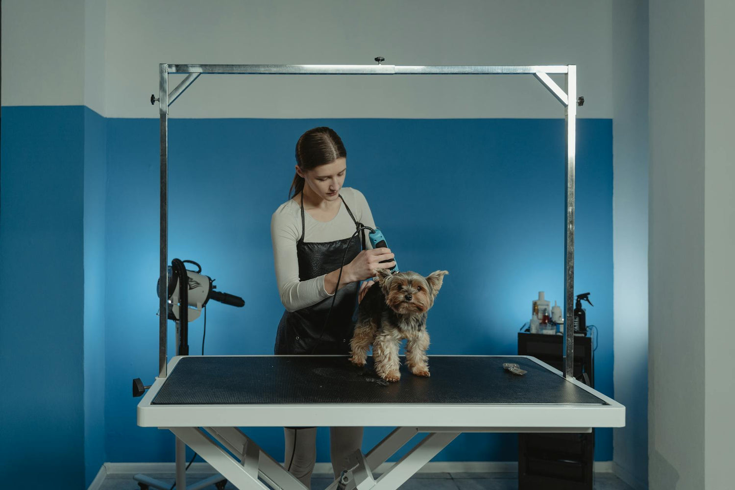 Grooming Supplies