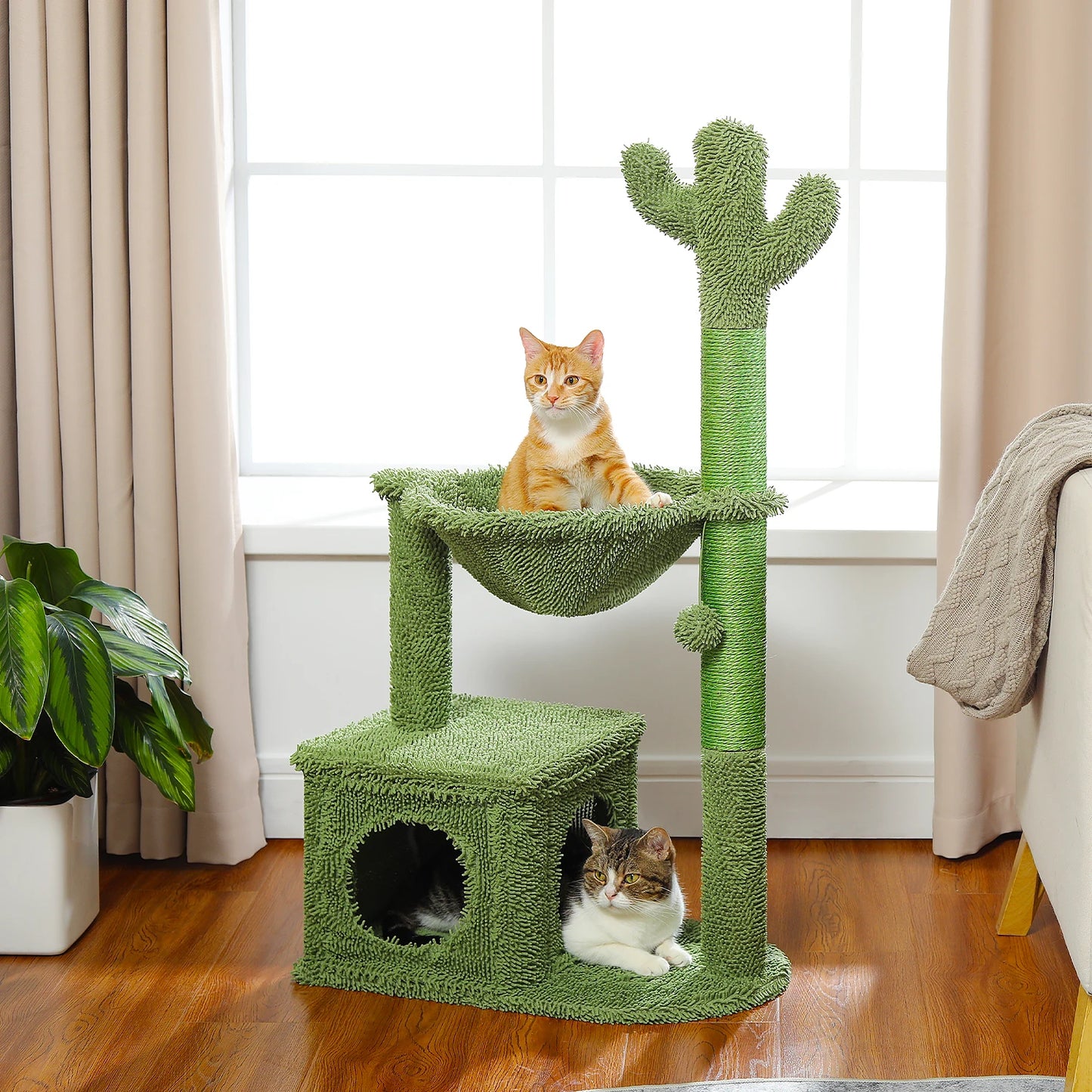 PEQULTICN Cactus Cat Tree With Condo Hammock Ball Indoor