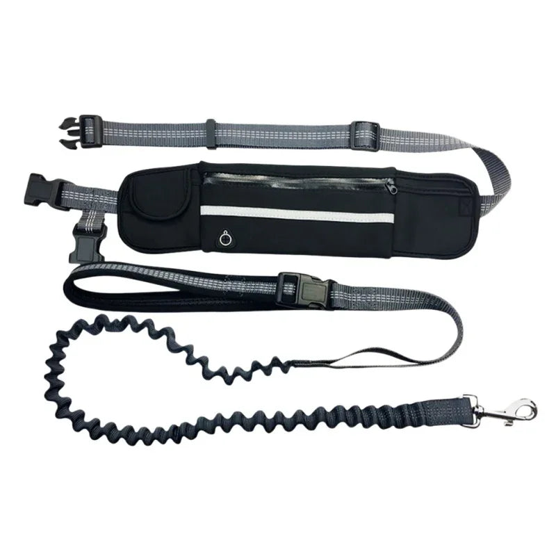 Guangdong Hands Free Dog Leash With Zipper Pouch Reflective