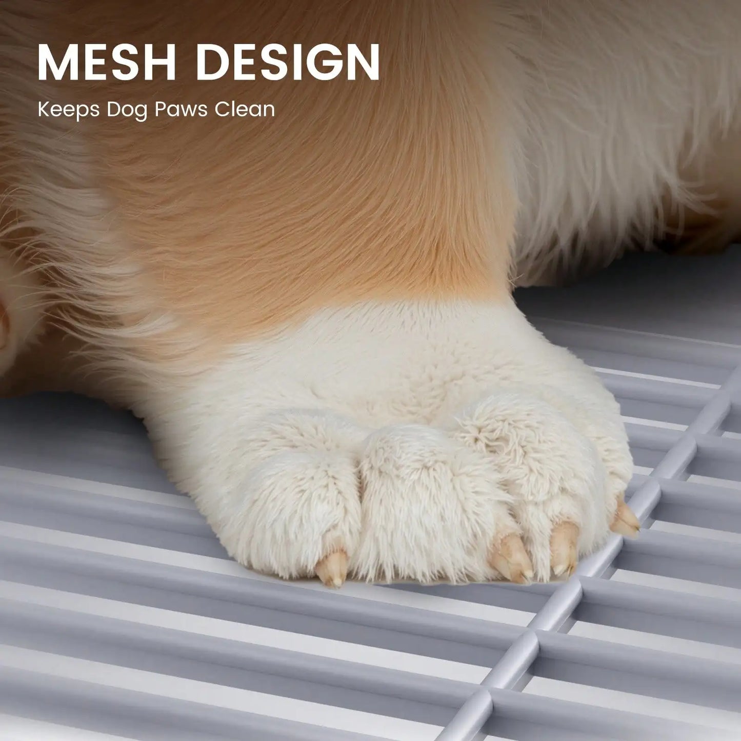 Dog Litter Indoor Dog Potty Tray With Protection Wall