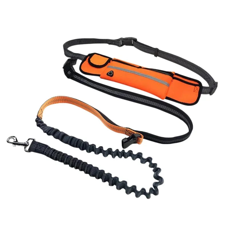 Guangdong Hands Free Dog Leash With Zipper Pouch Reflective
