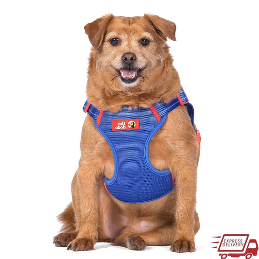DUTRIEUX Adjustable Dog Harness Breathable Mesh Step In