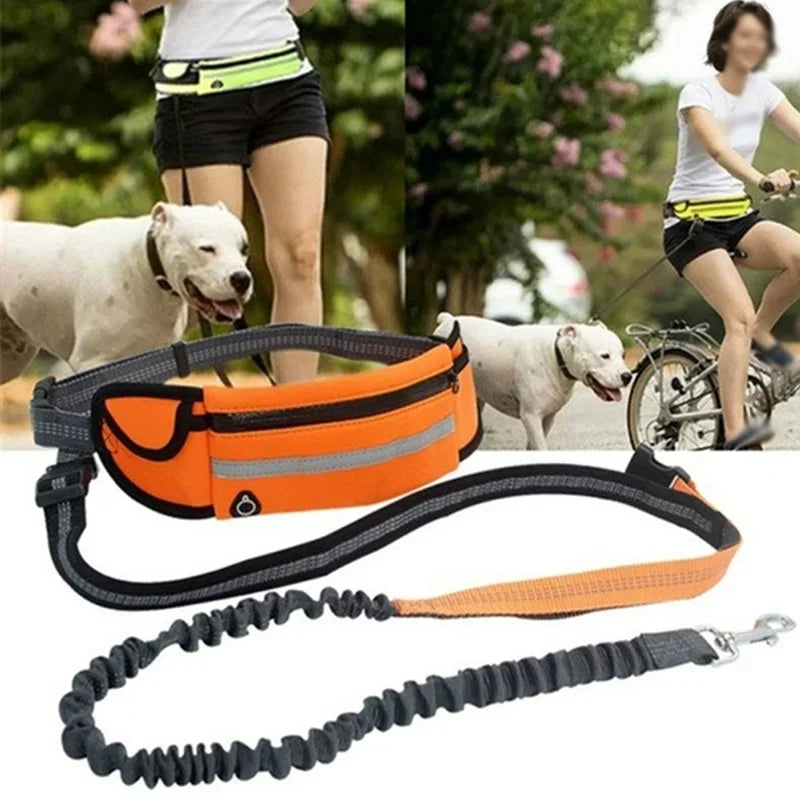 Guangdong Hands Free Dog Leash With Zipper Pouch Reflective