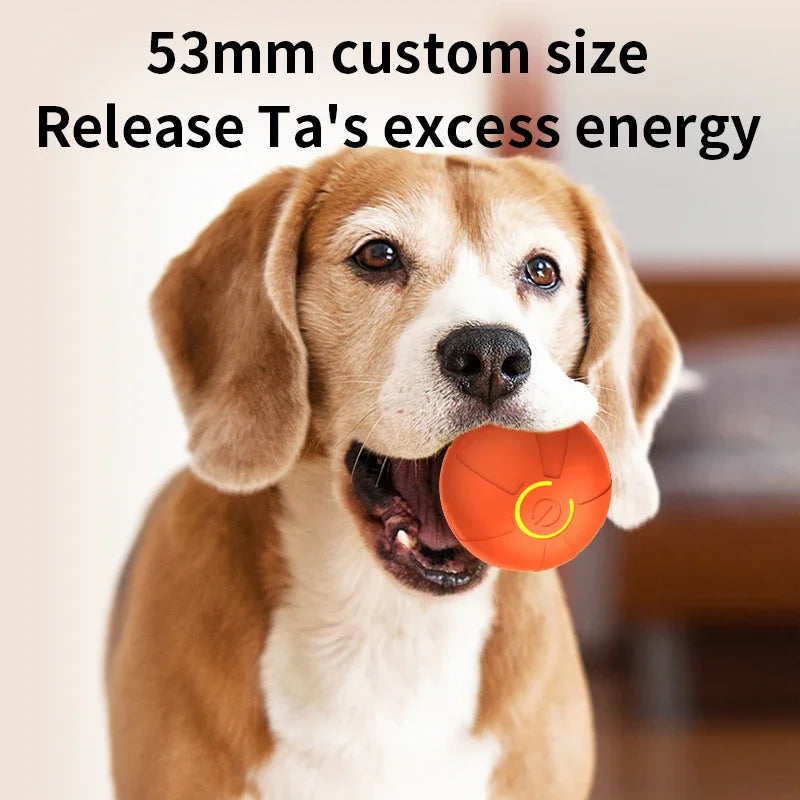Feature Smart Dog Ball Toy Automatic Rolling Interactive Chew Toy