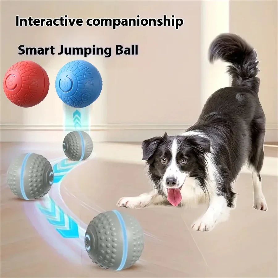 Feature Smart Dog Ball Toy Automatic Rolling Interactive Chew Toy