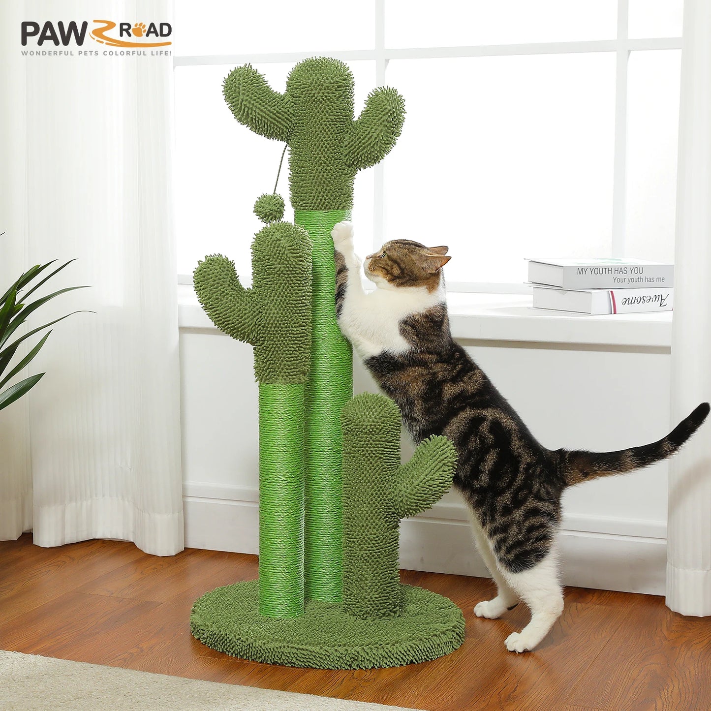 PEQULTICN Cactus Cat Tree With Condo Hammock Ball Indoor