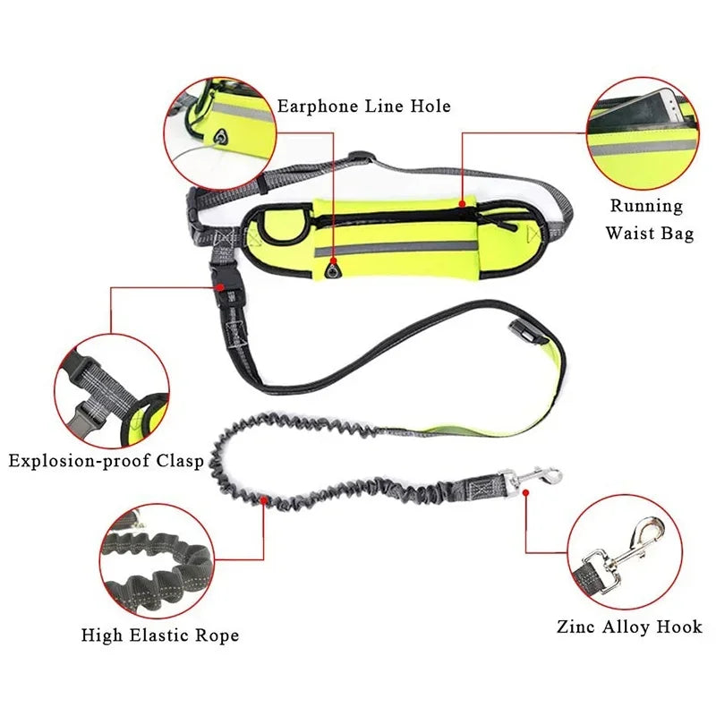 Guangdong Hands Free Dog Leash With Zipper Pouch Reflective