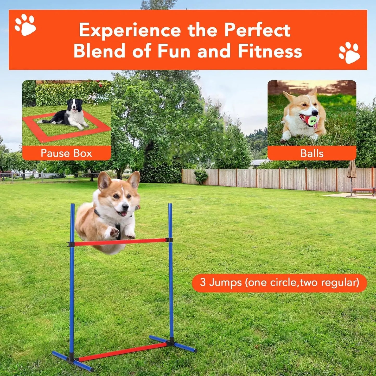 HiMIS Dog Agility Training Kit 87 Piece Obstacle Course Set