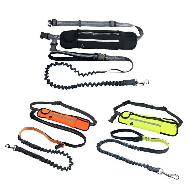 Guangdong Hands Free Dog Leash With Zipper Pouch Reflective