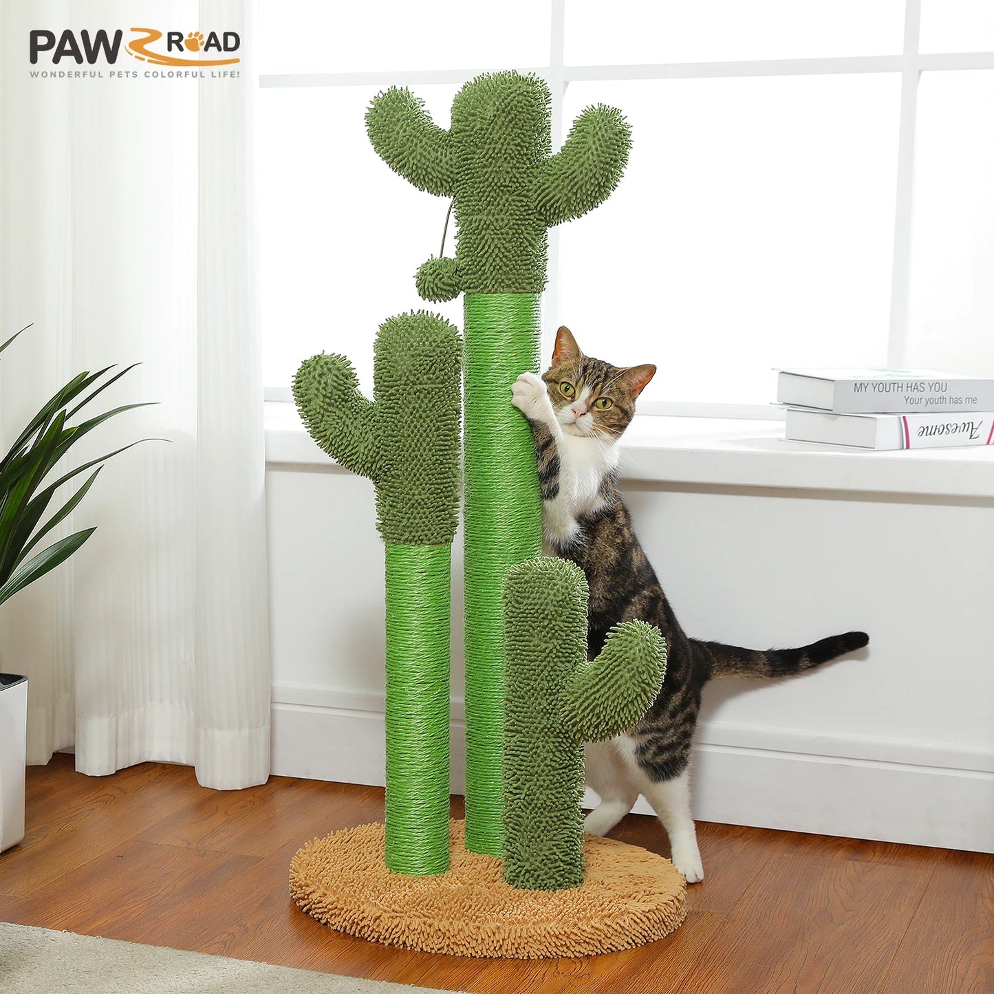 PEQULTICN Cactus Cat Tree With Condo Hammock Ball Indoor